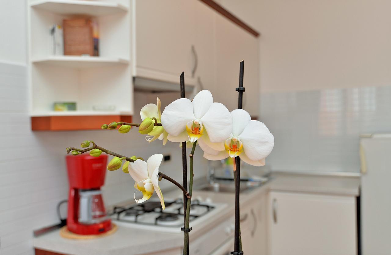 Apartment Ljiljana 1553 Novigrad Istria Buitenkant foto